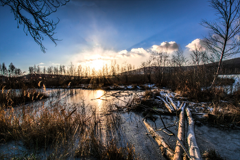 Evening Rays / ***