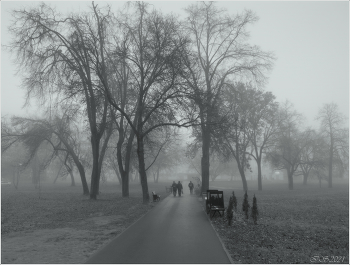 in the autumn mist / [img]https://i.imgur.com/1lou14D.jpg[/img]