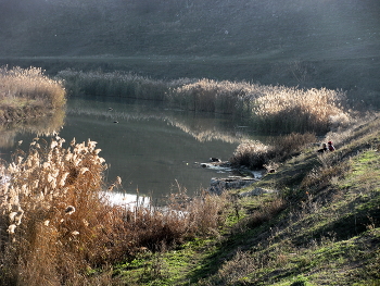 On the river bank ... / ***