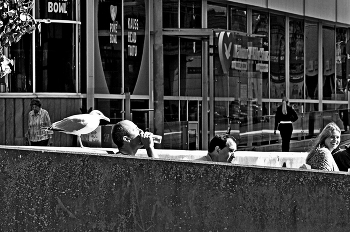 &nbsp; / .................................................