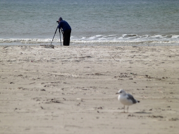 &nbsp; / am Strand der dänischen Nordsee