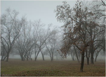 in the autumn mist / [img]https://i.imgur.com/2gK3oVr.jpg[/img]
