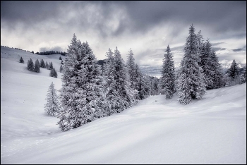 Frischer Schnee / Alpen