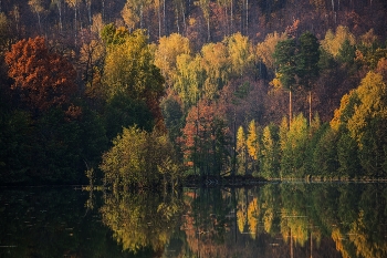 colors of autumn / ***