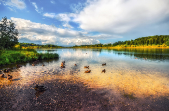 Remembering summer / ***