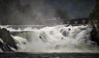 Rhine Falls / Rhine Falls