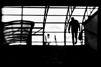 urban patterns / ...