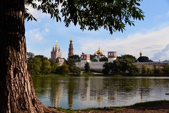 Novodevichy Convent / ***