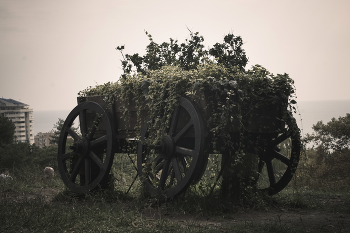 Cart / ***