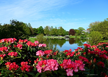 Planten un Blomen Hamburg / ***