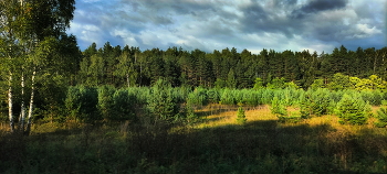 August evening / ***