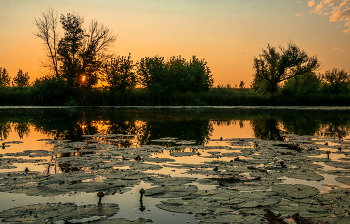 The middle of summer. / ***