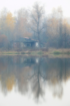 Last Fall / 2014