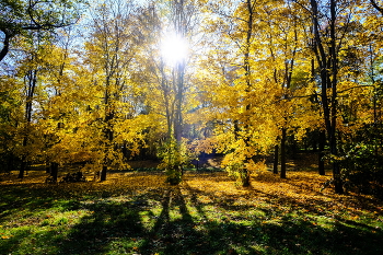 Autumn / ***