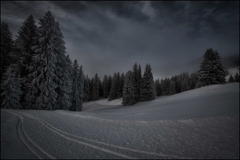 Spuren im Schnee / Winterstimmung