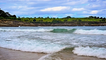 sea ​​breeze / ***