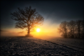 Nebelgrenze / Sonnenuntergang