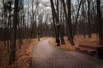 In the fall the park ... / ***