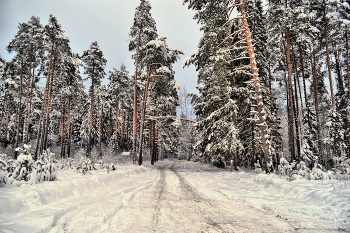 Winter road / ***