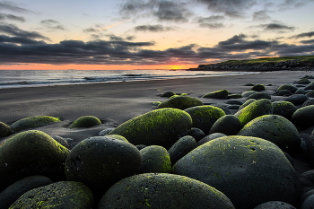 beach / ***