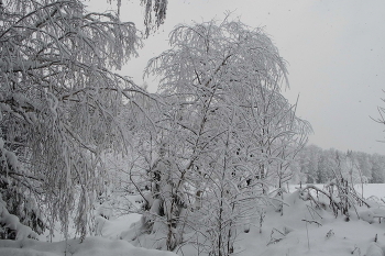 Winter landscape / ***