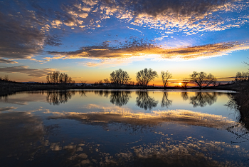 Evening on the lake / ***