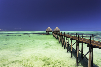 Zanzibar Island Jetty Bar / Zanzibar Island Jetty Bar surrounded by crystal clear seawater on a blue-sky sunshine day in Tanzania, Africa