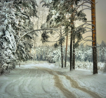 Winter Roads / ***