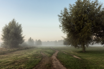 Foggy morning / ***