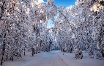 Snow Alley / ***