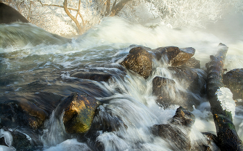 Winter river. / ***