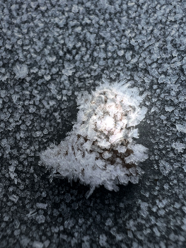 Frozen Face / Sometimes in winter