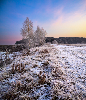 Morning winter / ***