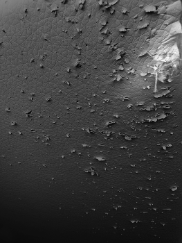 No secret / B/W-Dream