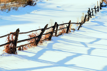 Old fence / ***