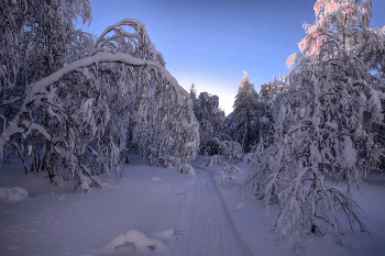 Winter road / ***