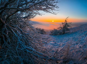 The November Snow / ***