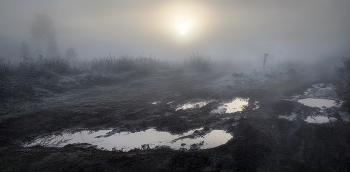 In the mist .... / ***