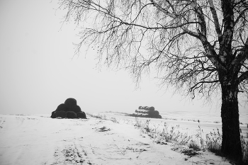 Winter road. / ***