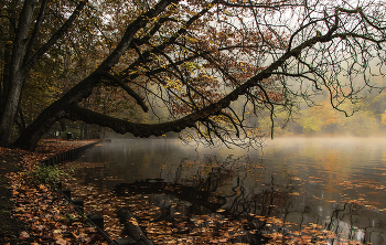 In autumn park / ***