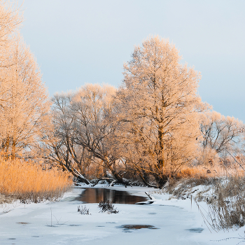 Evening light / ________