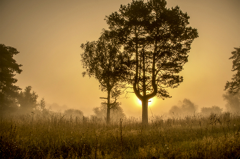 Fog dissipates / ***