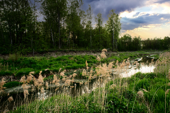 Before the storm / ***