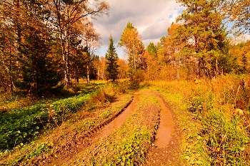 Autumn / ***