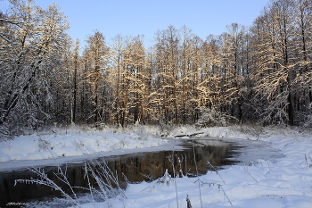 winter! / ***