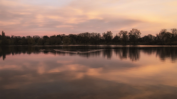 Pink morning / ***