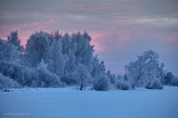 January evening / A frosty January evening near Kostroma