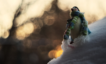 Autumn Sunrise / Merry Christmas