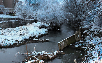 Winter in the City / ***