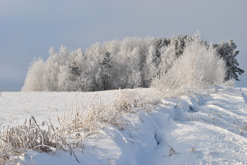 Winter in the village / ***